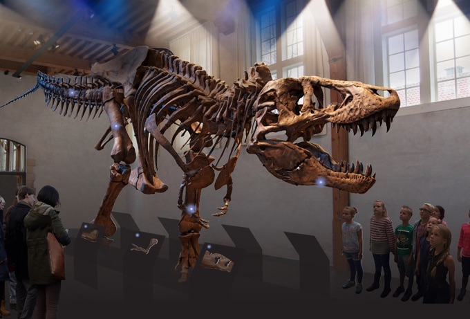 Zo zal T-rex vanaf september te zien zijn in Naturalis (Foto Naturalis)