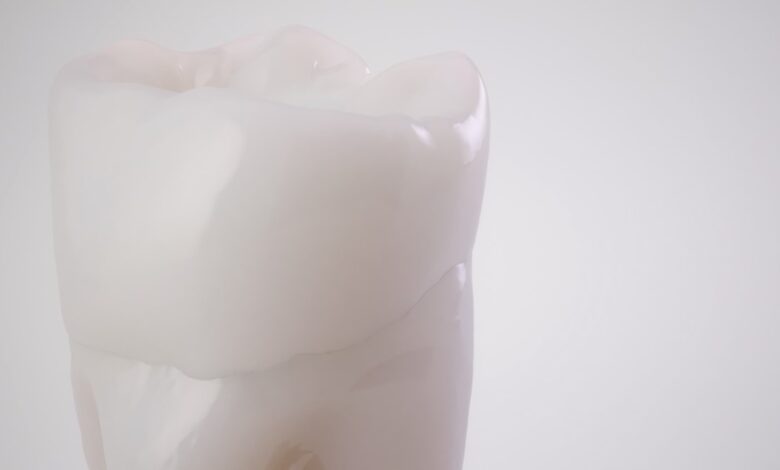 Flexcera Smile Ultra